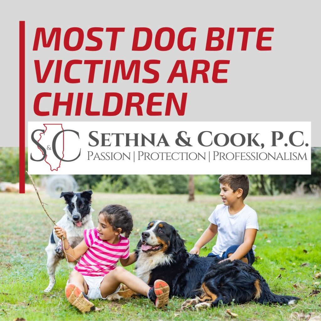 Personal Injury Lawyer DuPage County Illinois | Sethna and Cook